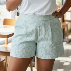 NWT Fashion Nova plus size Jaquard shorts In Mint Size 2X